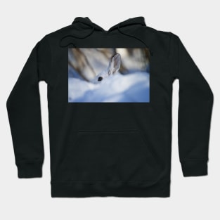 Snow Shoe Hare Hoodie